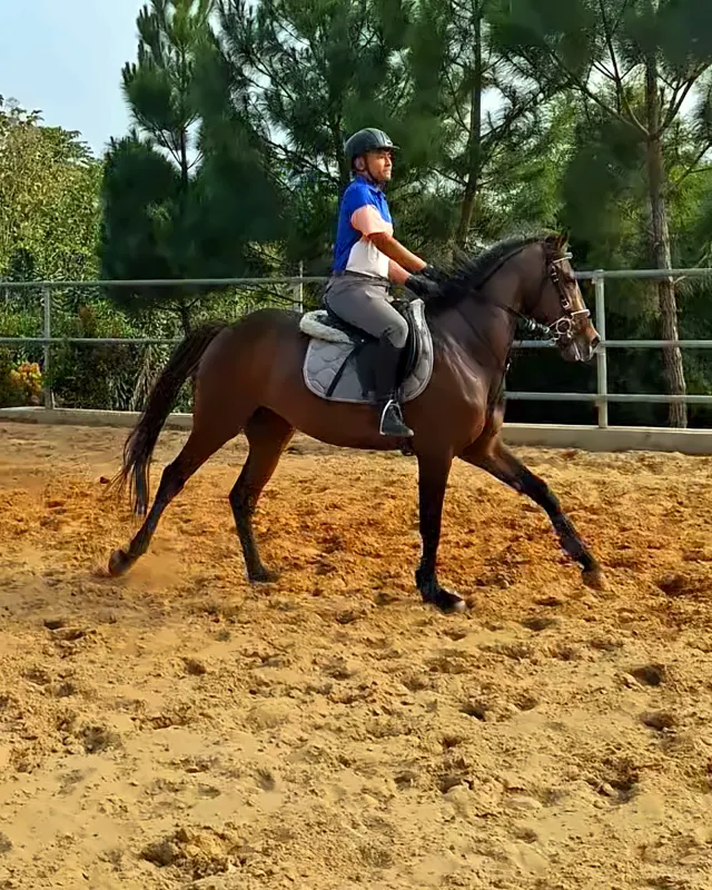 Training · 16 Oct 2026