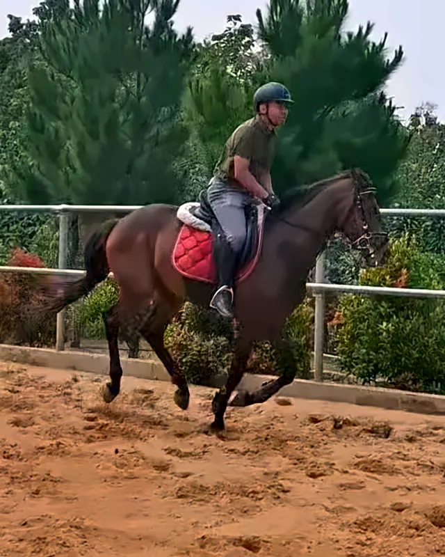 Training · 17 Oct 2026